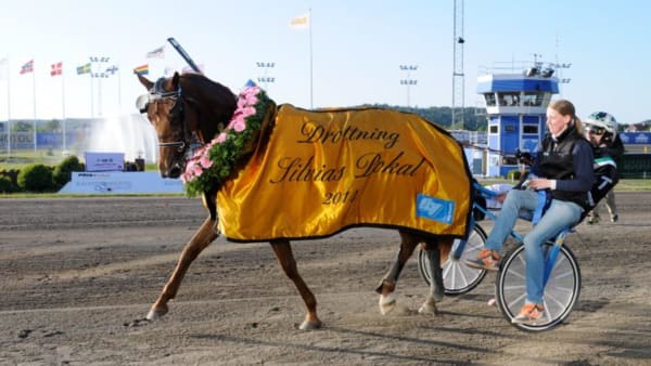 Foto: GÖRAN LINDSKOG/SIDMAKARN