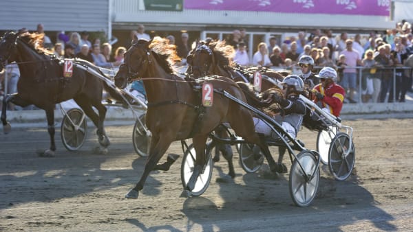 Foto: JESPER HAMMARLUND