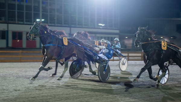 Foto: MIKAEL ROSENQUIST / TR BILD