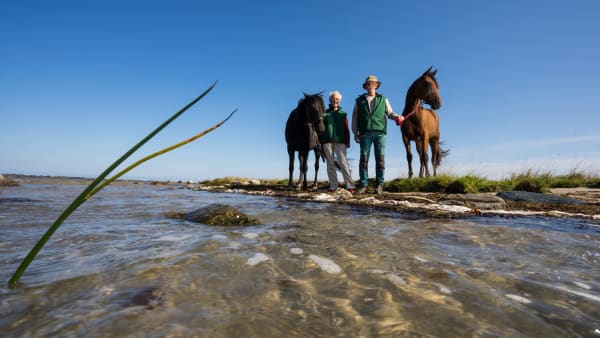 Foto: Thomas Blomqvist/TR BILD
