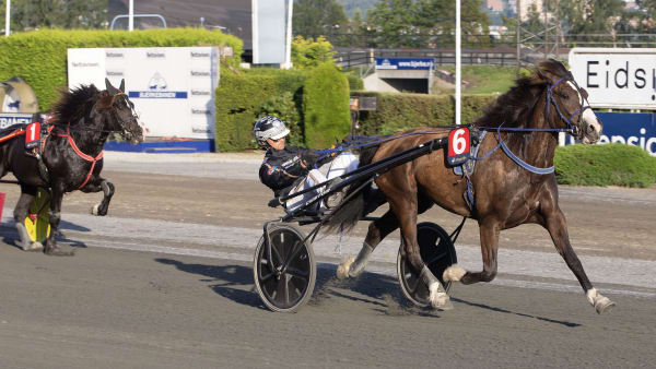 Foto: Anders Kongsrud/Hesteguiden.