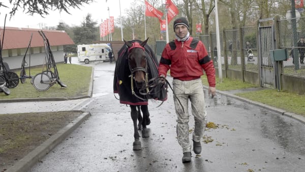 Foto: LARS JAKOBSSON / TR BILD