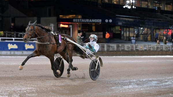 Foto: LARS JAKOBSSON / TR BILD