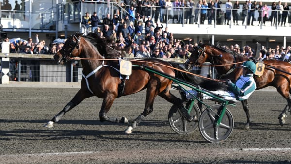 Foto: MALIN ALBINSSON / TR BILD