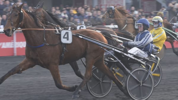 Foto: LARS JAKOBSSON/TR BILD