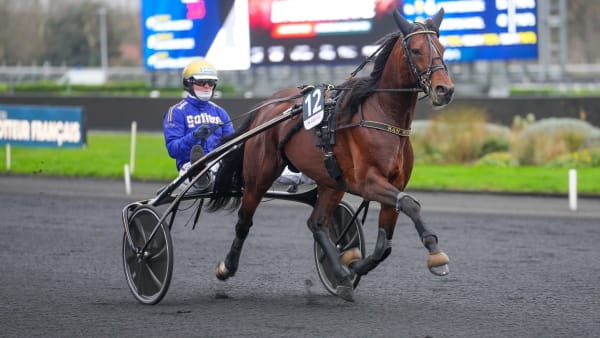 Foto: THOMAS BLOMQVIST / TR BILD