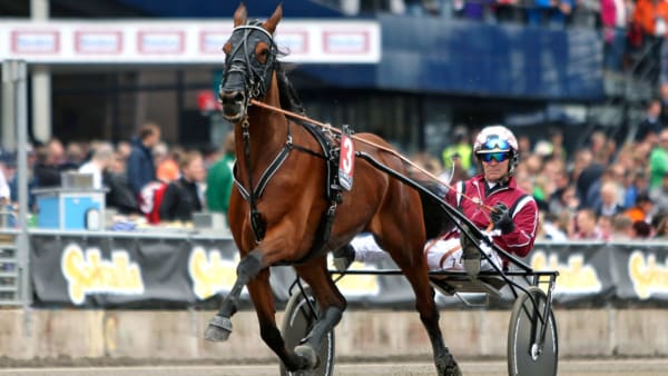 Foto: Maria Holmén, TR BILD