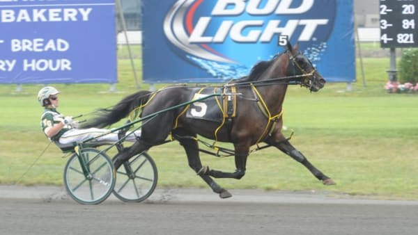 Foto: ADAM STRÖM/STALLTZ.SE