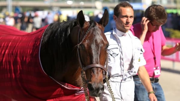 Foto: Matilda Öhrman/TR Bild