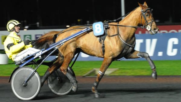 Foto: STEFAN MELANDER/STALLTZ.SE