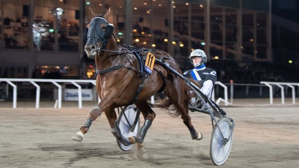 Foto: MIKAEL ROSENQUIST / TR BILD