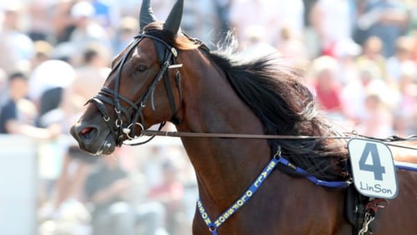 Foto: MIA TÖRNBERG/TRAVRONDEN