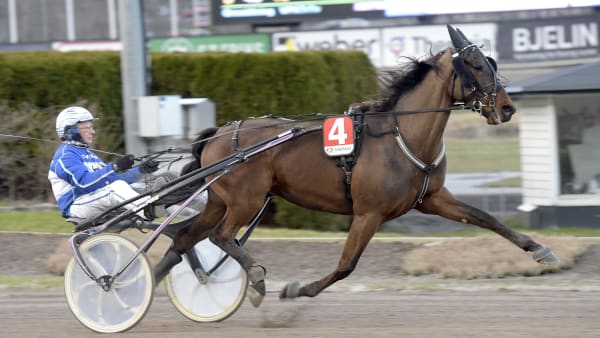 Foto: LARS JAKOBSSON / TR BILD