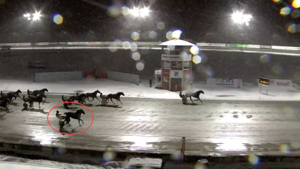 Foto: SCREENSHOT ATG LOPPARKIV