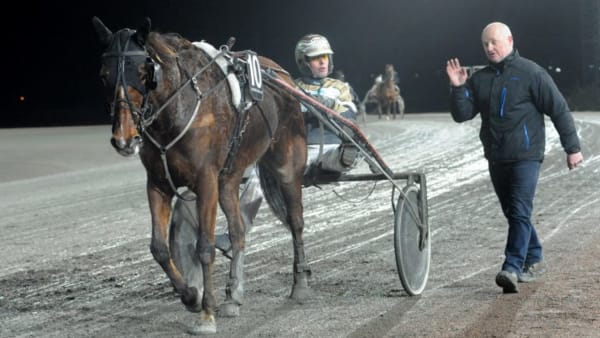 Foto: JÖRGEN TUFVESSON/ALN