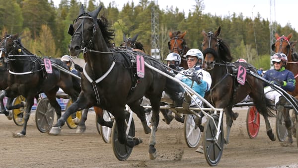 Foto: Maria Holmén/TR Bild