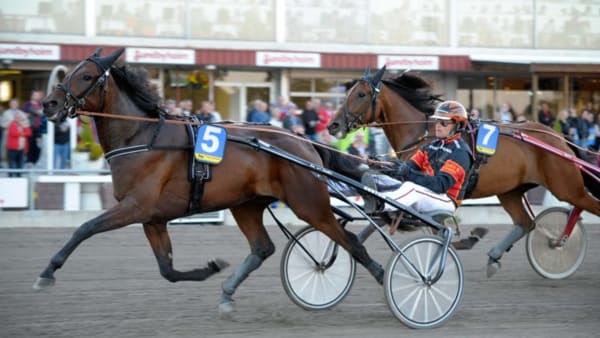 Foto: MARTIN LANGELS/ALN