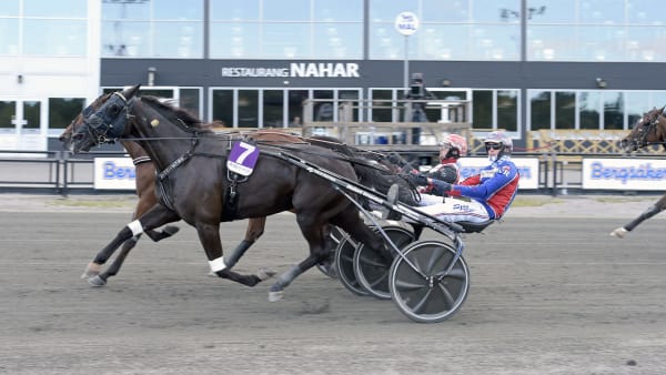 Foto: LARS JAKOBSSON / TR BILD