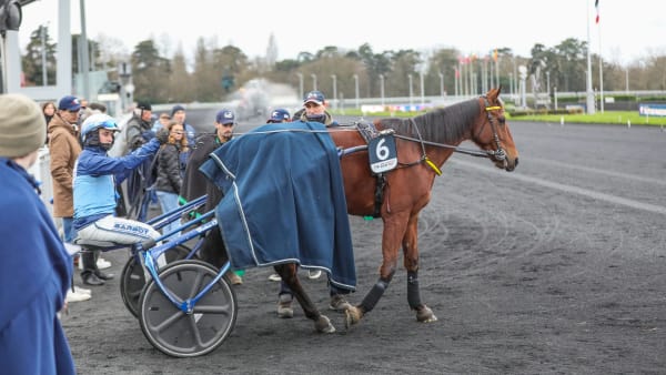 Foto: BRUNO VANDEVELDE/LE TROT