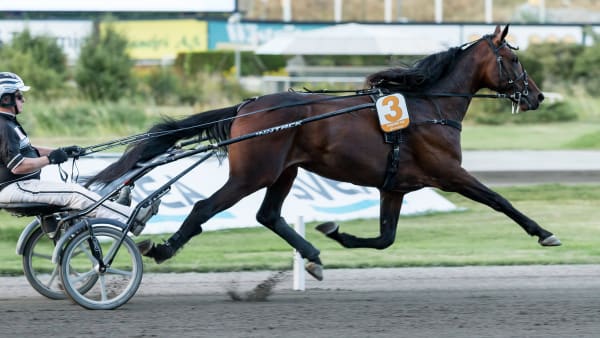 Foto: LENA EMMOTH / TR BILD