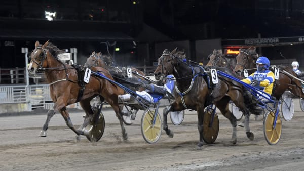 Foto: LARS JAKOBSSON / TR BILD