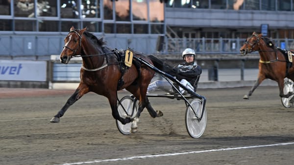 Foto: MALIN ALBINSSON / TR BILD