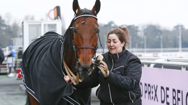 Foto: MATILDA ÖHRMAN, TRAVRONDEN