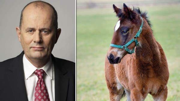 Foto: Pressbild Sveriges Riksdag/TR BILD