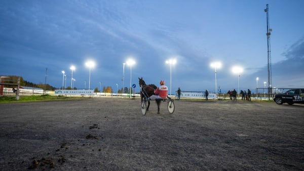 Foto: Thomas Blomqvist/TR BILD