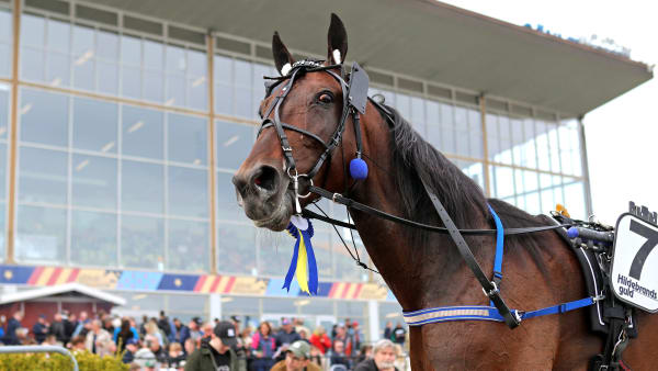 Foto: MARIA HOLMÉN / TR BILD