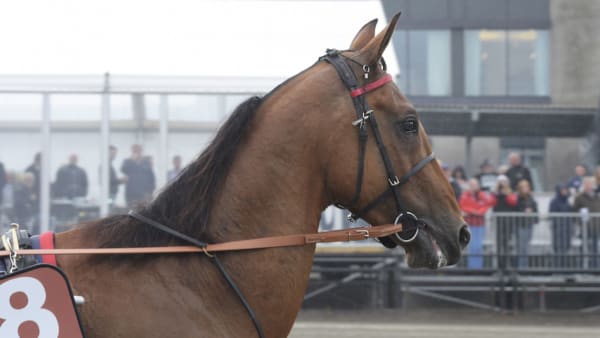 Foto: Lars Jakobsson/TR Bild