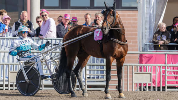 Foto: LENA EMMOTH / TR BILD