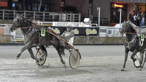 Foto: Leif Norberg/ALN