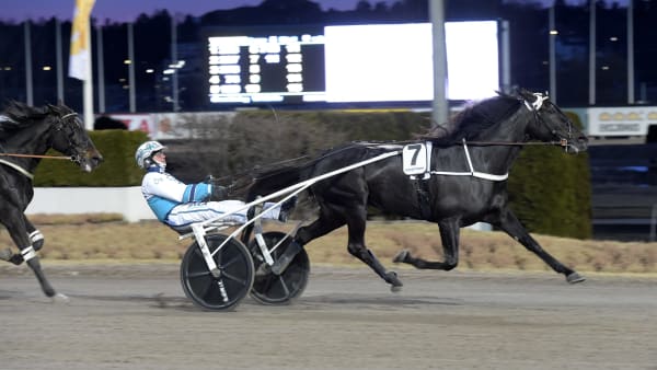 Foto: LARS JAKOBSSON / TR BILD