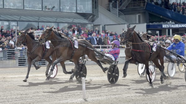 Foto: LARS JAKOBSSON / TR BILD