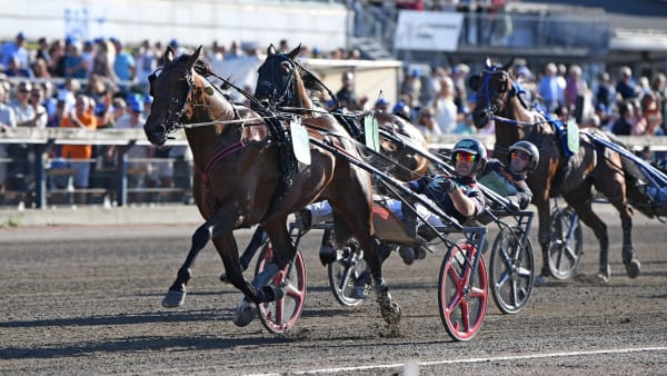 Foto: MALIN ALBINSSON / TR BILD