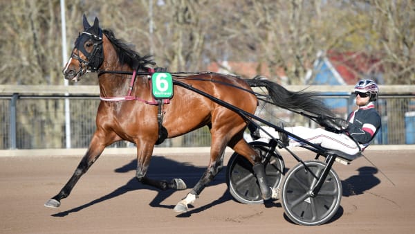 Foto: MALIN ALBINSSON / TR BILD