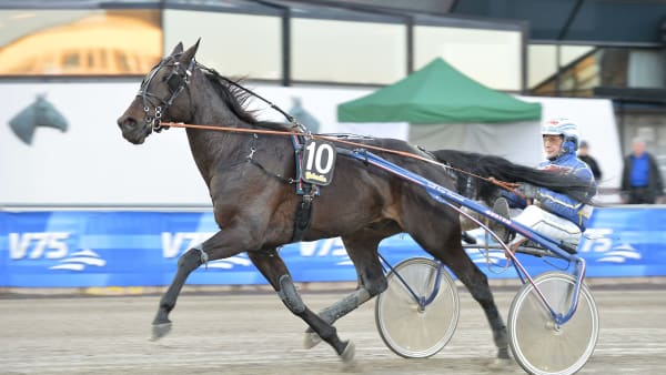 Foto: LARS JAKOBSSON/KANAL 75