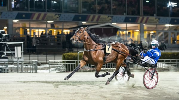 Foto: LENA EMMOTH / TR BILD