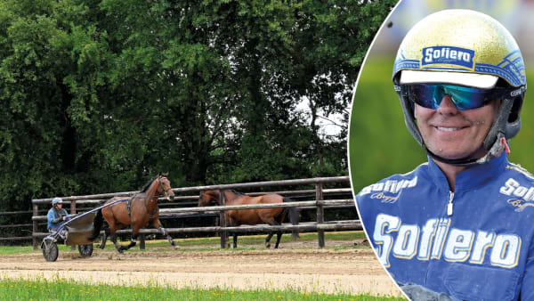 Foto: JEAN-LUC LAMAÈRE/LE TROT/TR BILD