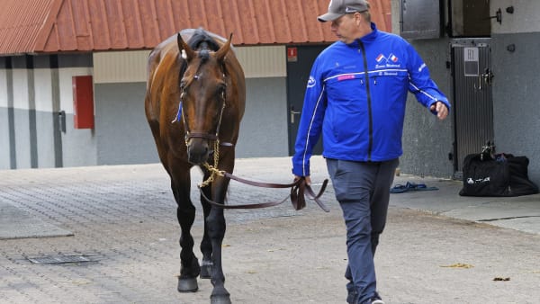 Foto: Jean-Luc Lamaère-LeTROT