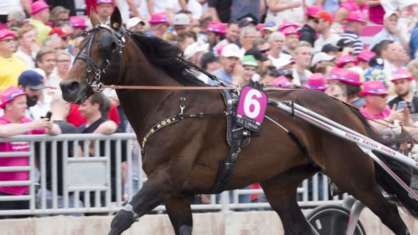 Foto: Tommy Andersson/ALN