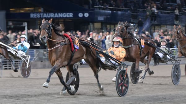 Foto: LARS JAKOBSSON / TR BILD