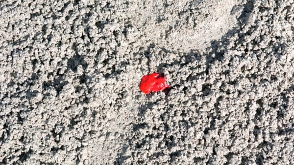 Foto: CLAES KÄRRSTRAND/TR BILD