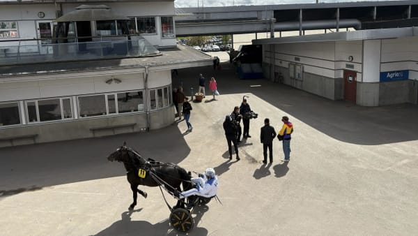 Foto: EMIL PERSSON/TR BILD