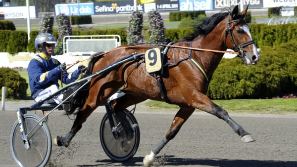 Foto: MARTIN LANGELS/ALN