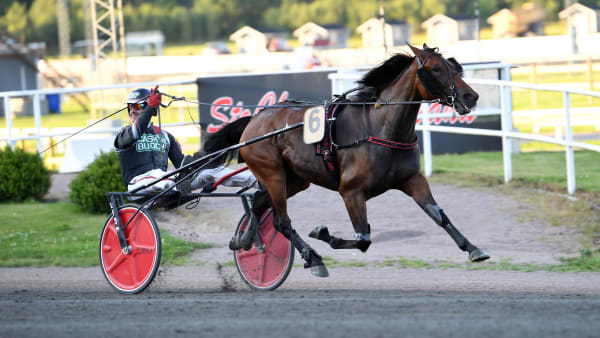 Foto: MALIN ALBINSSON / TR BILD