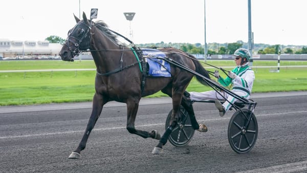 Foto: THOMAS BLOMQVIST / TR BILD