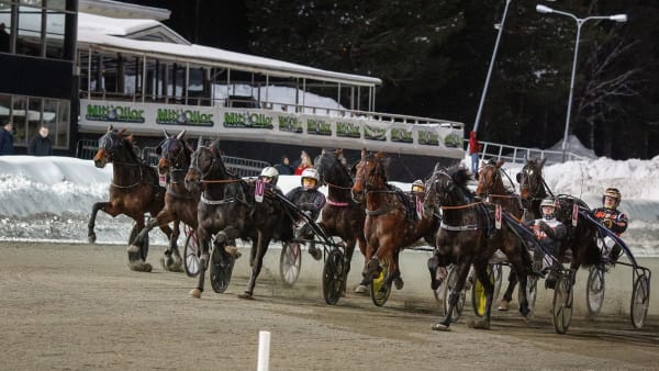 Foto: DAVID SCHREINER / TR BILD