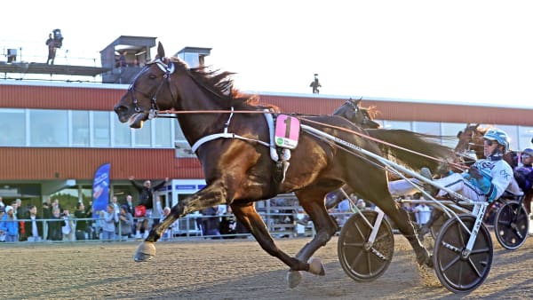 Foto: MARIA HOLMÉN / TR BILD